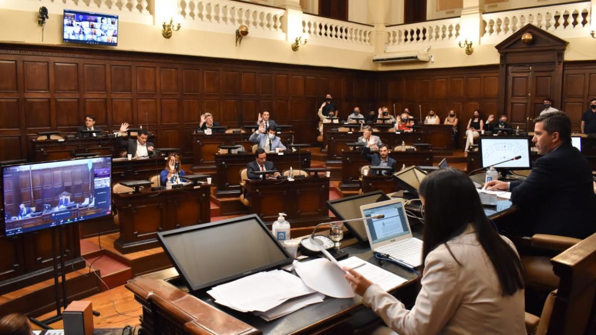 La Ley de Oncopediatría fue aprobada en Diputados