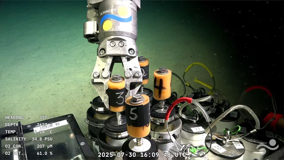 La zona de estudio se ubica frente a la provincia de Buenos Aires, en el límite entre la corriente cálida de Brasil y la fría de Malvinas La zona de estudio se ubica frente a la provincia de Buenos Aires, en el límite entre la corriente cálida de Brasil y la fría de Malvinas