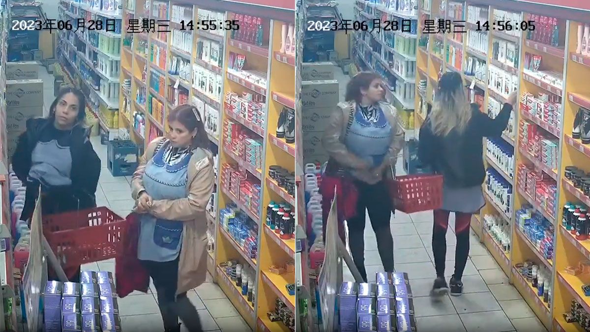 Docentes mecheras: dos mujeres vestidas de maestras jardineras fueron filmadas mientras robaban de un supermercado.