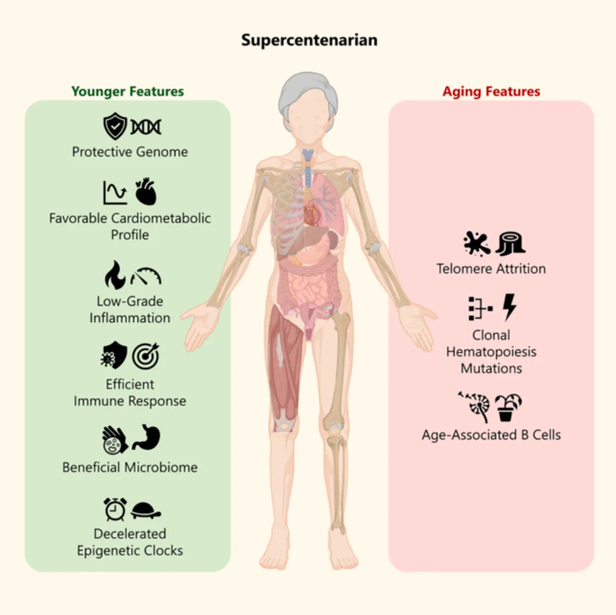 El descubrimiento resaltó características de las personas que viven muchos años. El descubrimiento resaltó características de las personas que viven muchos años.