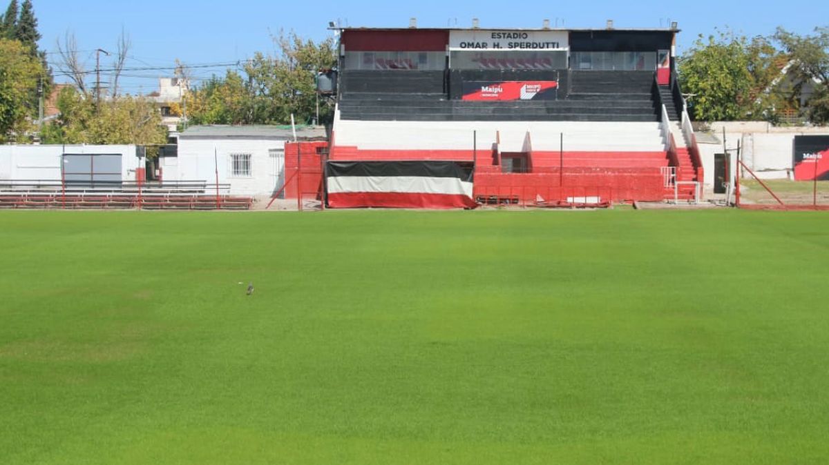 El campo de juego de calle Vergara luce brillante.