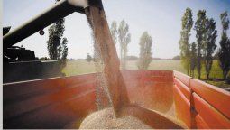 Prevén menos rendimiento del campo por imperio de las lluvias