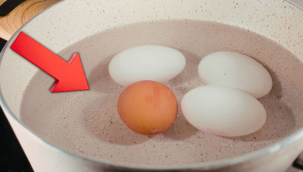 Aprovecha el agua de huevo en el jardín.&nbsp;