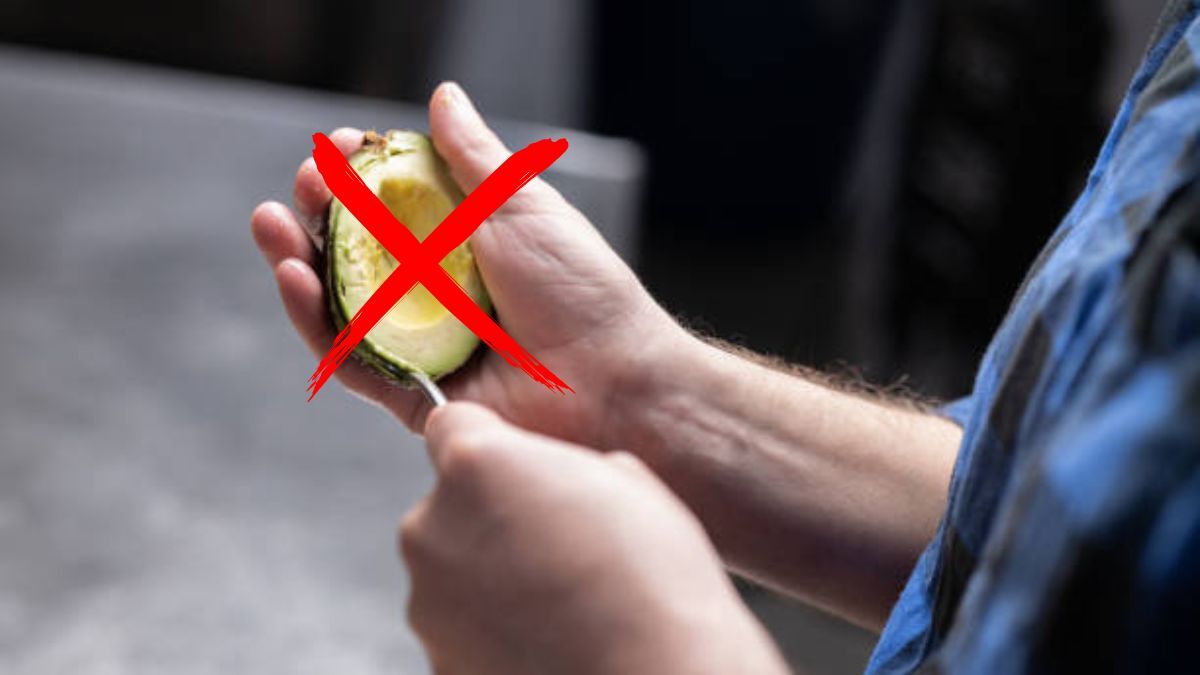 No es el aguacate ni la palta: conoce el oro negro repleto de nutrientes que Chile exporta a Europa y Asia