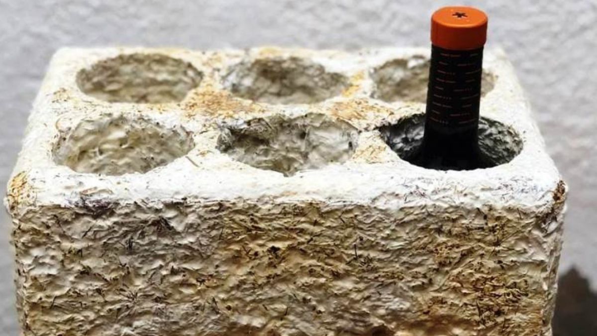 Otra forma del biempaque. Otra forma del biempaque.