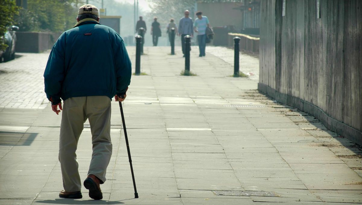 Mantener el equilibrio sobre una pierna al caminar, pone a prueba habilidades que tienden a disminuir con la edad e influyen en el riesgo de caídas. Fuente Canva Mantener el equilibrio sobre una pierna al caminar, pone a prueba habilidades que tienden a disminuir con la edad e influyen en el riesgo de caídas. Fuente Canva
