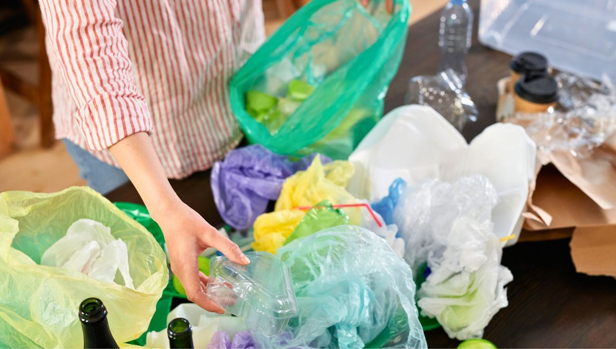 El afortunado que tenga bolsas de plástico tiene un tesoro del reciclaje: cómo hacer hilo de tejer