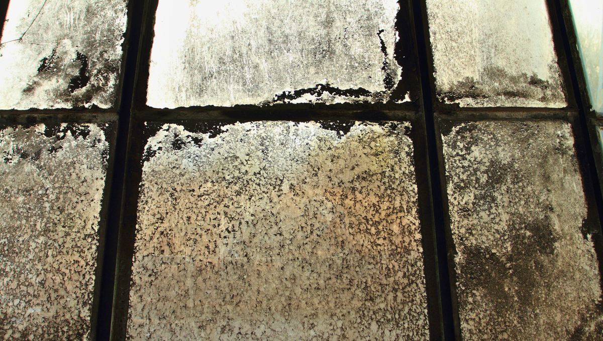 Limpieza económica y efectiva: cómo usar vinagre para lavar los vidrios