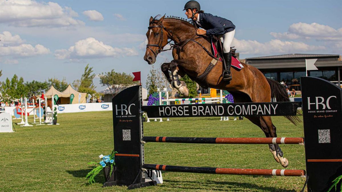 Se realiza un torneo internacional de saltos hípicos en Alto Agrelo: está en juego la Copa Casa David 2026
