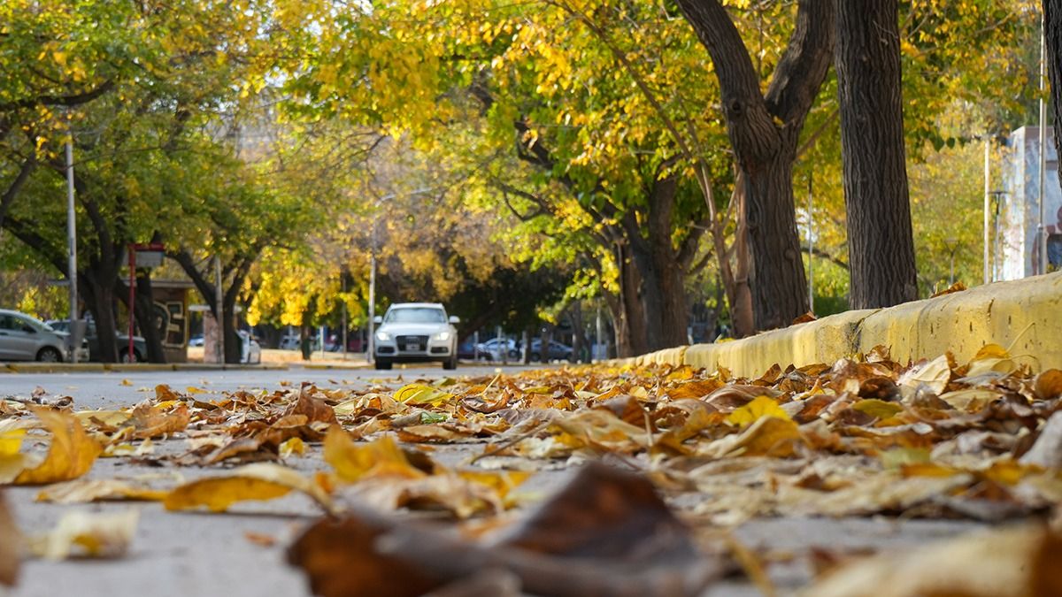 El otoño a pleno, con un pronóstico del tiempo en Mendoza que anticipa cielo despejado para este martes. El otoño a pleno, con un pronóstico del tiempo en Mendoza que anticipa cielo despejado para este martes.