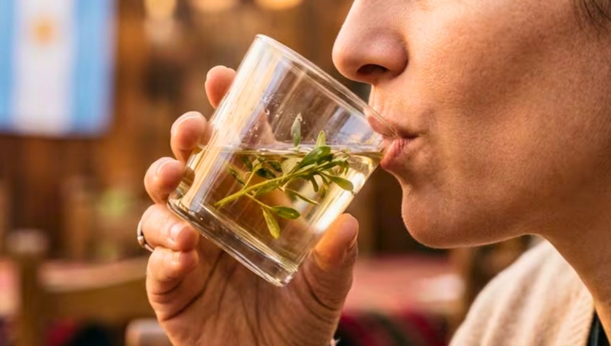 La caña con ruda es una bebida hecha con caña blanca o aguardiente en la que se dejan macerar hojas de ruda macho. La caña con ruda es una bebida hecha con caña blanca o aguardiente en la que se dejan macerar hojas de ruda macho.