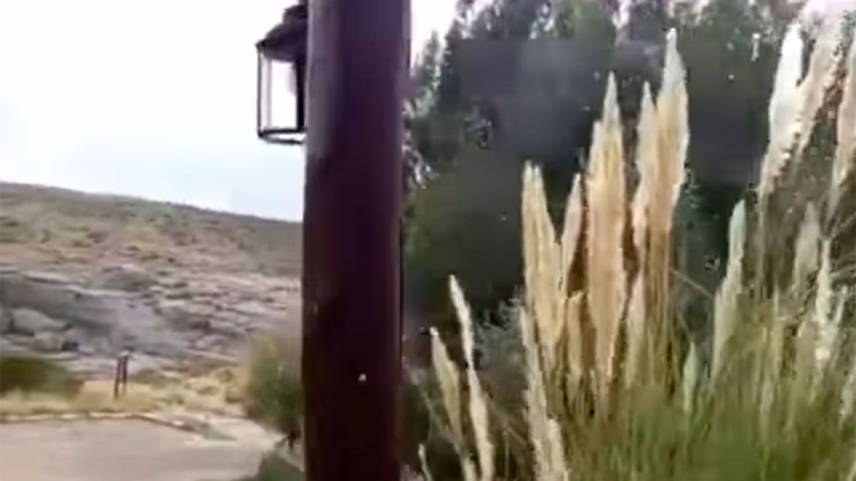 Nevó en Malargüe y fue una de las ciudades más fría del país. (Captura de pantalla).