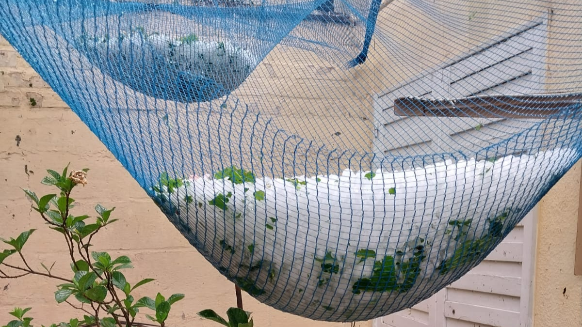 Así quedó la malla antigranizo en el patio de una de las viviendas de la Ciudad de San Rafael. Así quedó la malla antigranizo en el patio de una de las viviendas de la Ciudad de San Rafael.