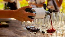 Este sábado 23 de noviembre Maipú invita a la comunidad maipucina y de la provincia a ser parte de la Feria del Vino en la Estación Gutiérrez.
