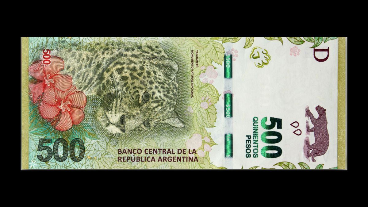 Monedas y billetes