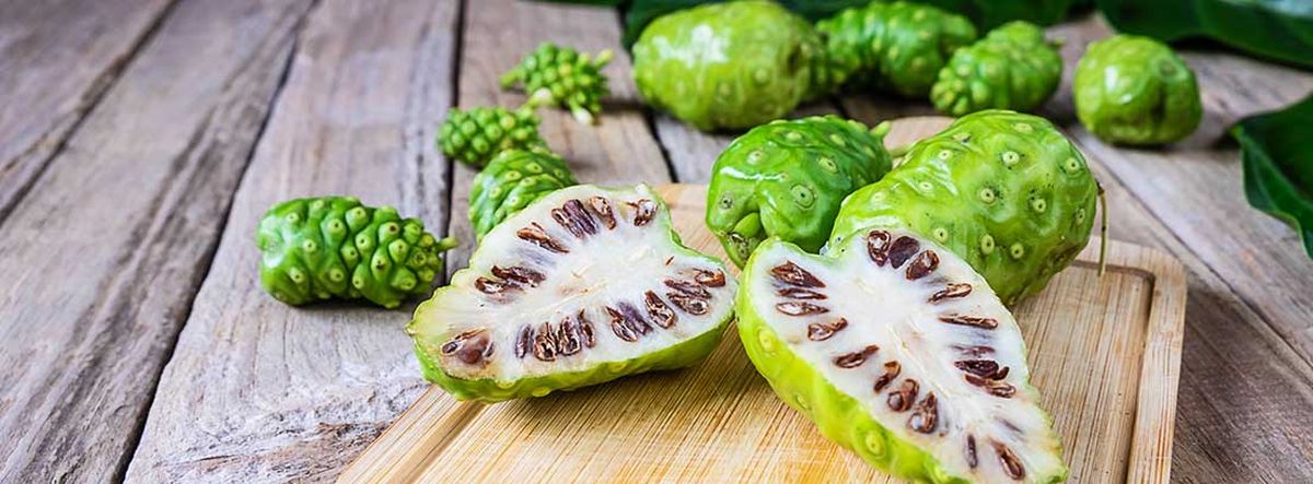 El olor del noni aleja a las ratas de tu casa. Solo tienes que ubicarlo en puntos estratégicos. El olor del noni aleja a las ratas de tu casa. Solo tienes que ubicarlo en puntos estratégicos.