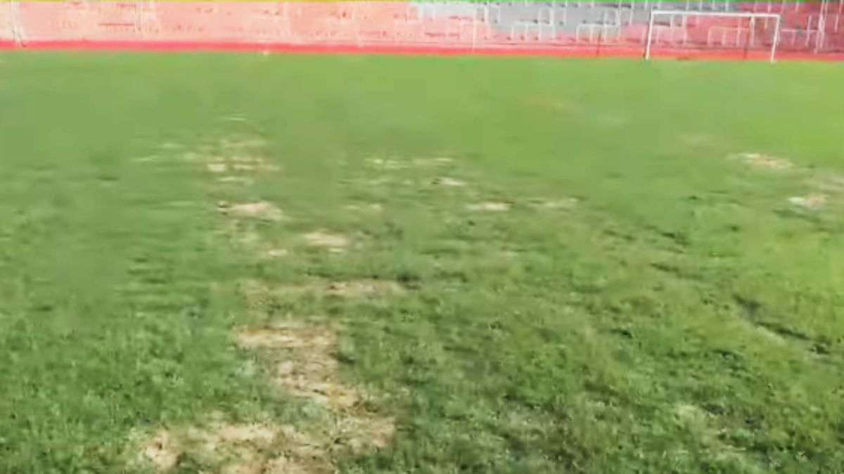 El pasto de verano, Bermuda Celebration, aún no se ha desarrollado completamente en la cancha del estadio Malvinas Argentinas.