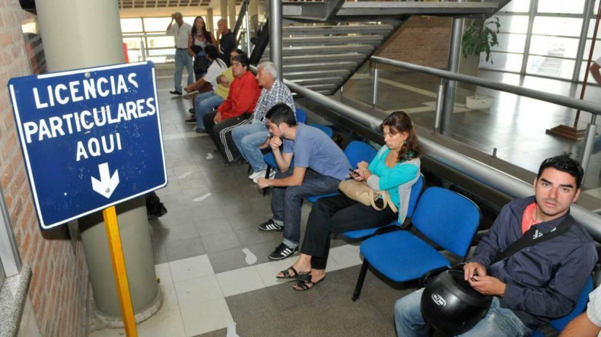 Los municipios ya están entregando licencias nacionales de conducir