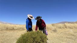 Las guardianas de los humedales de la puna: instalan bombas de agua solares a 3.000 metros en medio de los Andes Las guardianas de los humedales de la puna: instalan bombas de agua solares a 3.000 metros en medio de los Andes