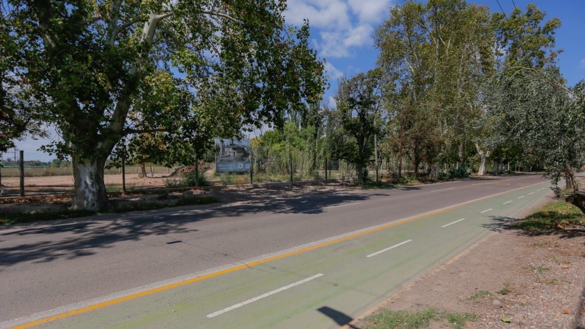 La capilla de Carlo Acutis se levantará en Vistalba, en plena calle Viamonte. La capilla de Carlo Acutis se levantará en Vistalba, en plena calle Viamonte.