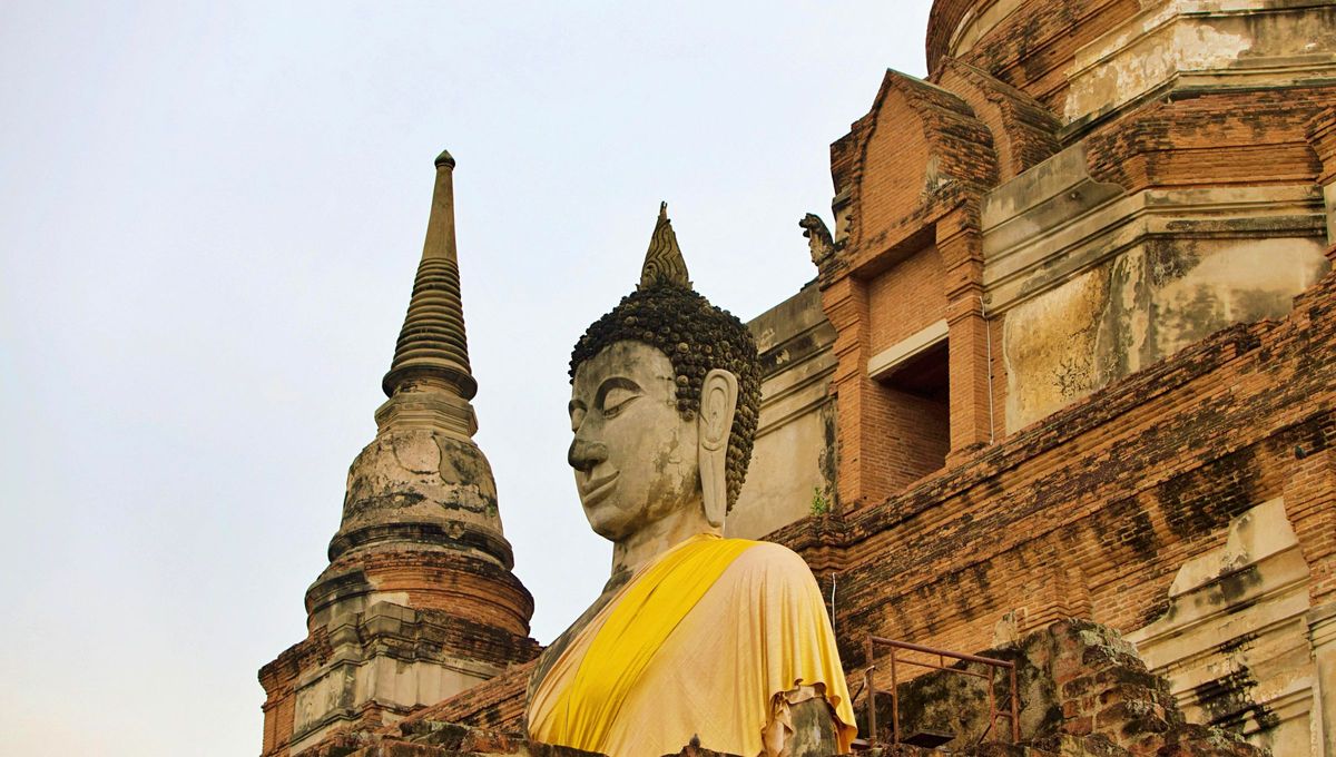 Filosofía china: la frase que une memoria, acción y visión para el 2026