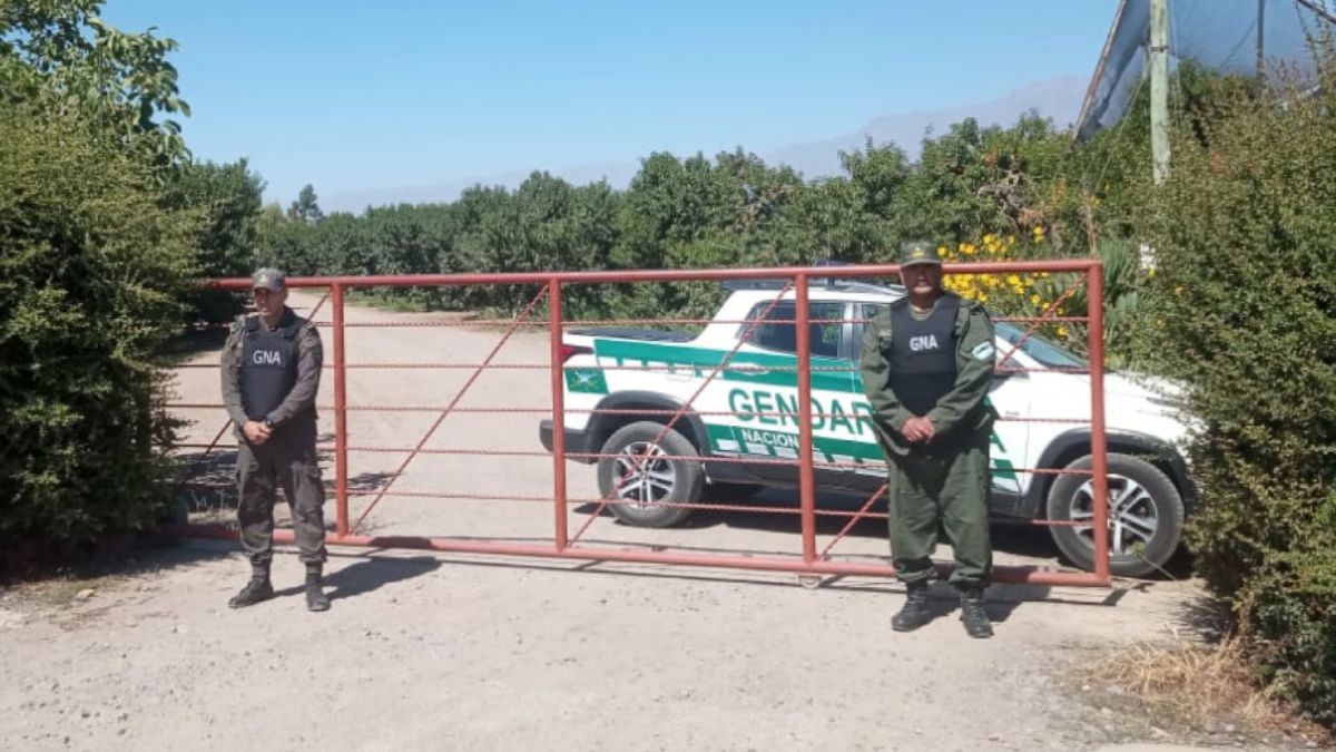 Gendarmería Nacional allanó una finca en Tunuyán