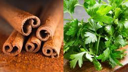 Feng Shui: el poderoso ritual que necesita de canela, perejil y agua