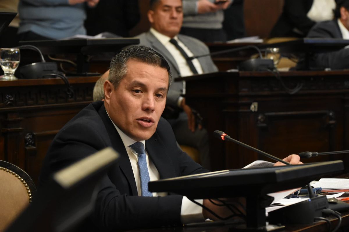 El senador radical David Saez fue uno de los encargados en defender el proyecto en la Legislatura.