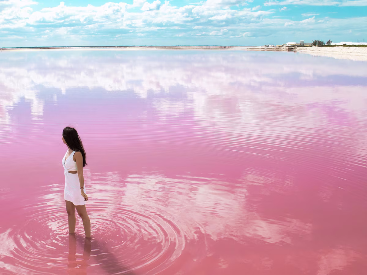 Te podrás sacar las fotos más hermosas Te podrás sacar las fotos más hermosas 