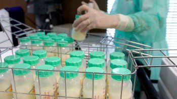 Brasil, modelo mundial de bancos de leche materna