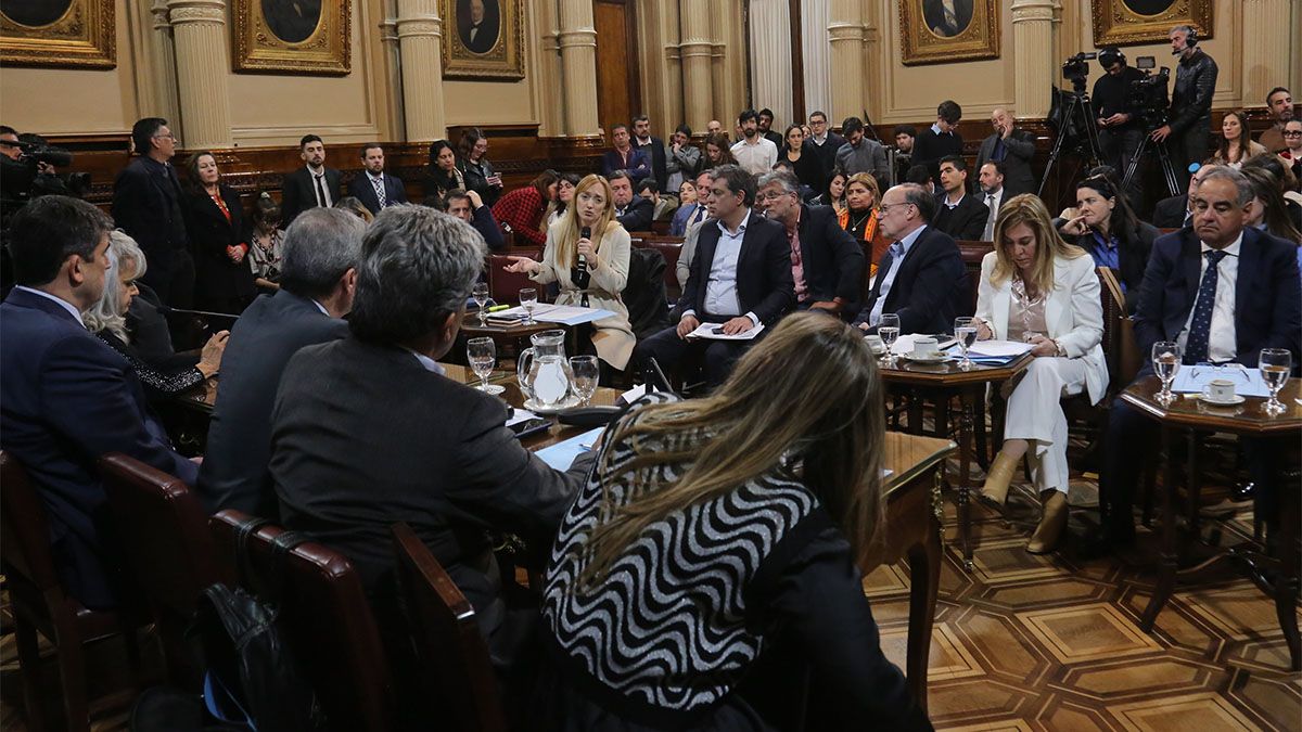 Momento en que expone su punto de vista la senadora Anabel Fernández Sagasti. Momento en que expone su punto de vista la senadora Anabel Fernández Sagasti.