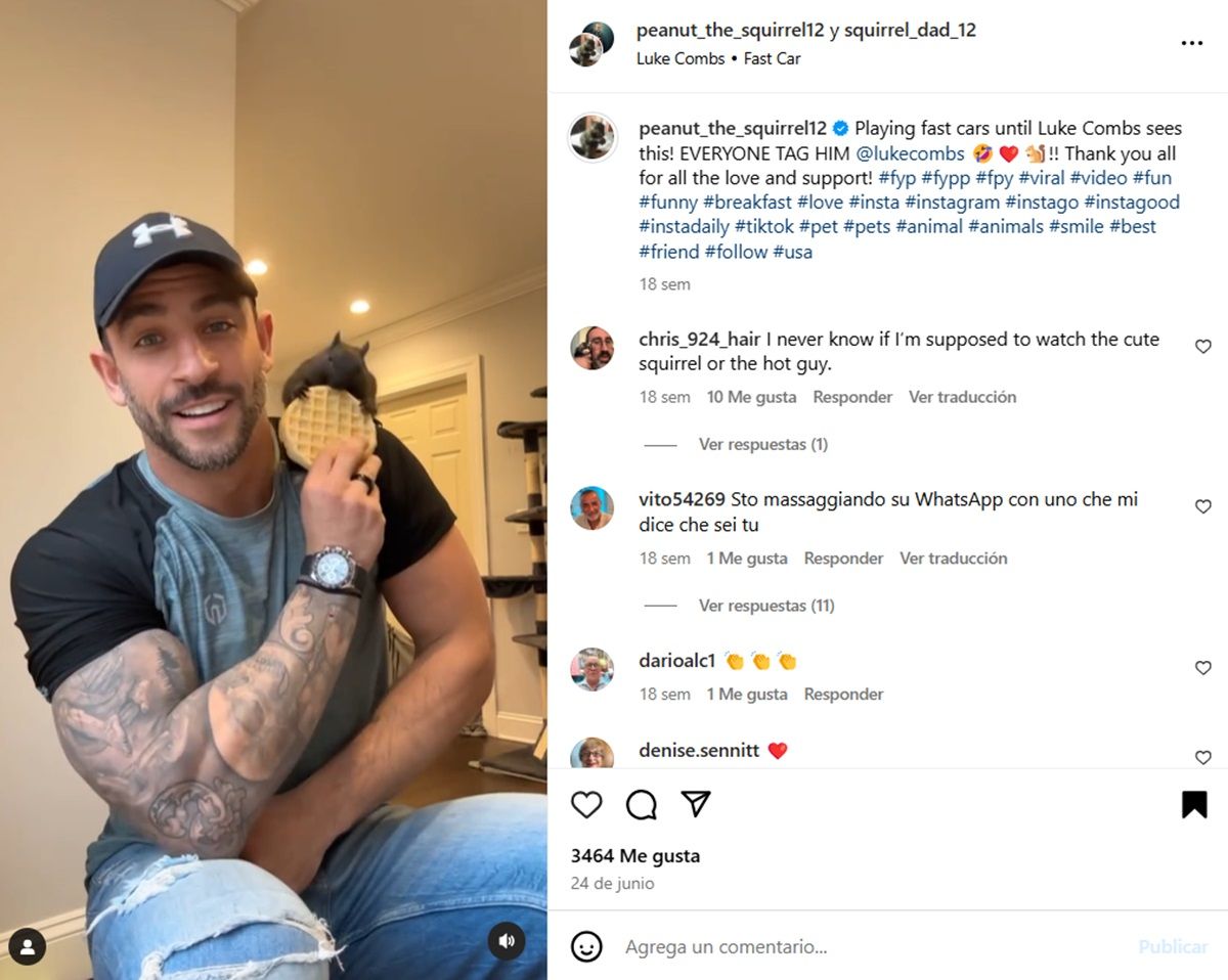 La ardilla tenía más de 500 mil seguidores en Instagram. Imagen de @peanut_the_squirrel12 La ardilla tenía más de 500 mil seguidores en Instagram. Imagen de @peanut_the_squirrel12