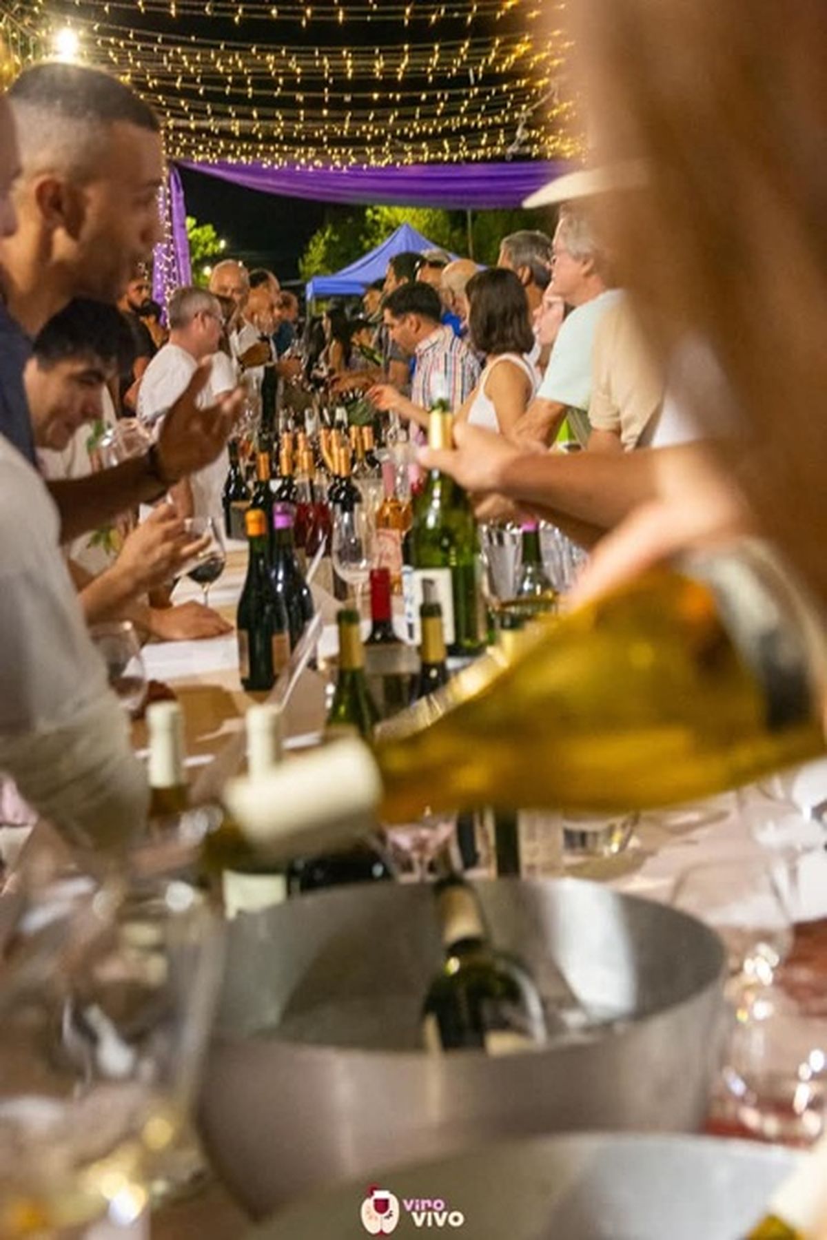 Este proyecto busca fortalecer el sector turístico local mediante la participación activa del sector privado. Este proyecto busca fortalecer el sector turístico local mediante la participación activa del sector privado.