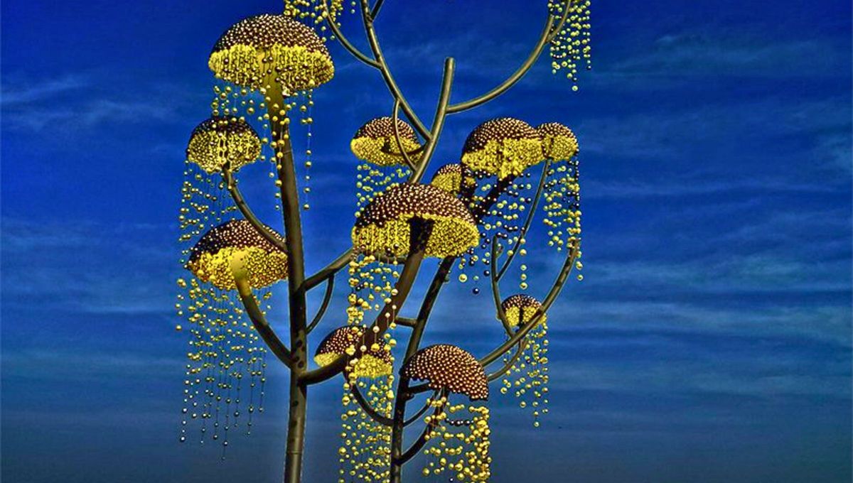 Seg&uacute;n la leyenda, este &aacute;rbol ten&iacute;a el poder de conceder cualquier cosa que se pensara bajo su sombra, pero solo deb&iacute;a desearse el bien.