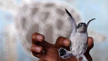 Impresionantes fotografías