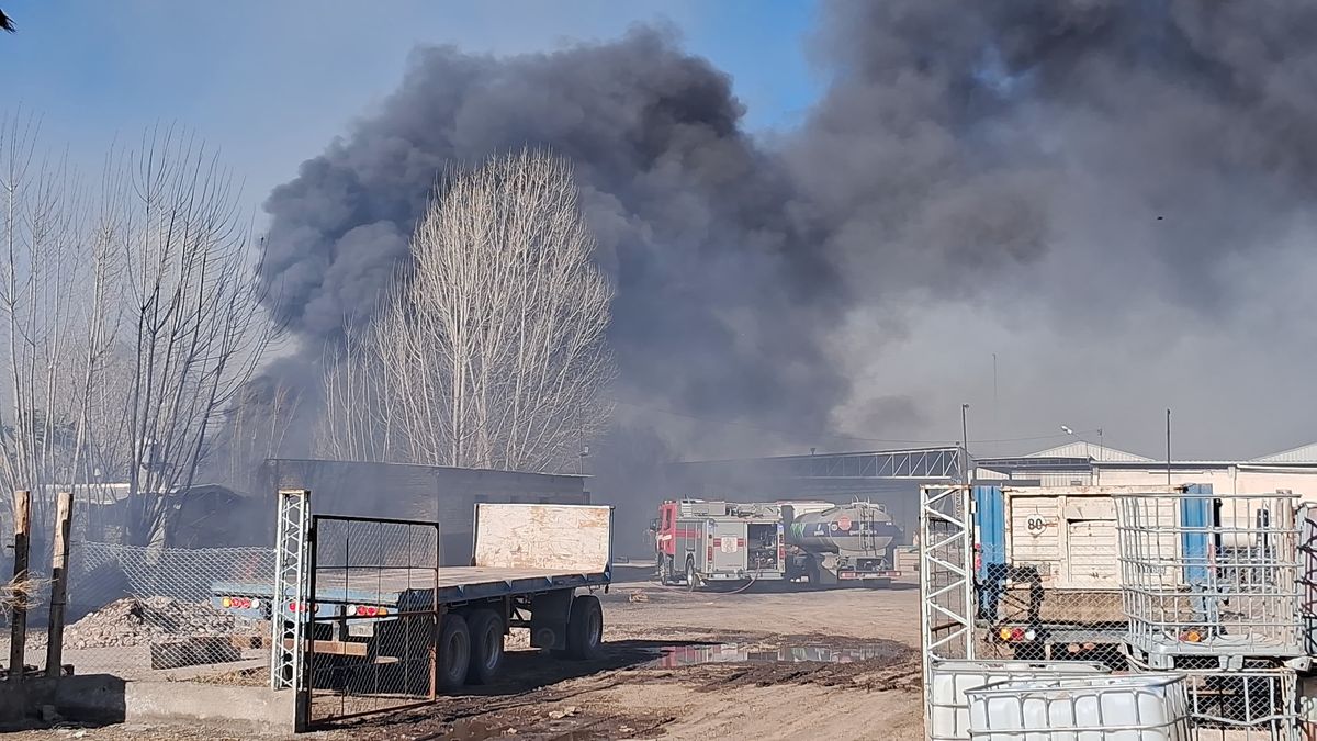 Fotos y videos: un incendio en Guaymallén generó alarma y hubo evacuados