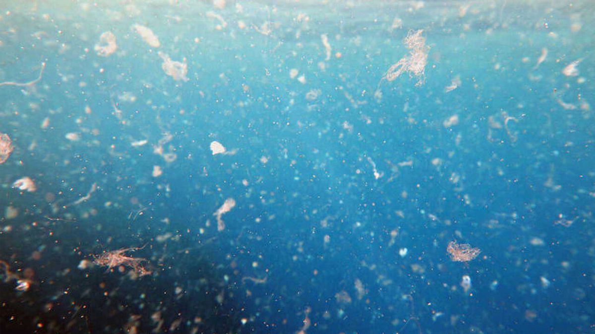 Eliminar los microplásticos es uno de los desafíos del futuro. Eliminar los microplásticos es uno de los desafíos del futuro.