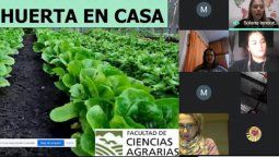 Cómo hacer una huerta en casa: la Facultad de Agrarias lo enseña