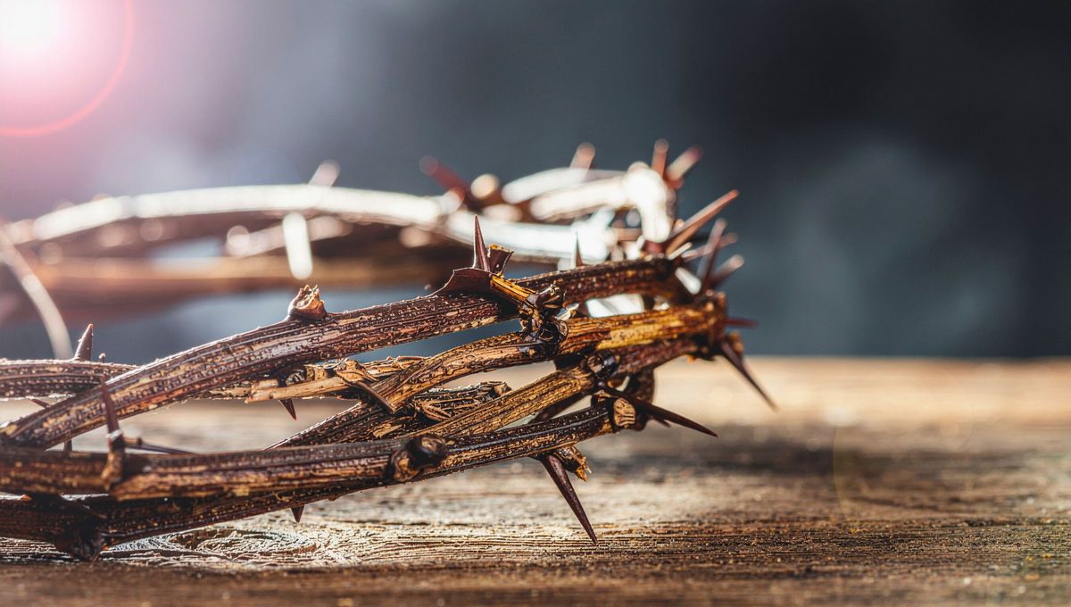 Se suprimen ciertos cantos de la misa, como el Gloria y el Aleluya. Se suprimen ciertos cantos de la misa, como el Gloria y el Aleluya.