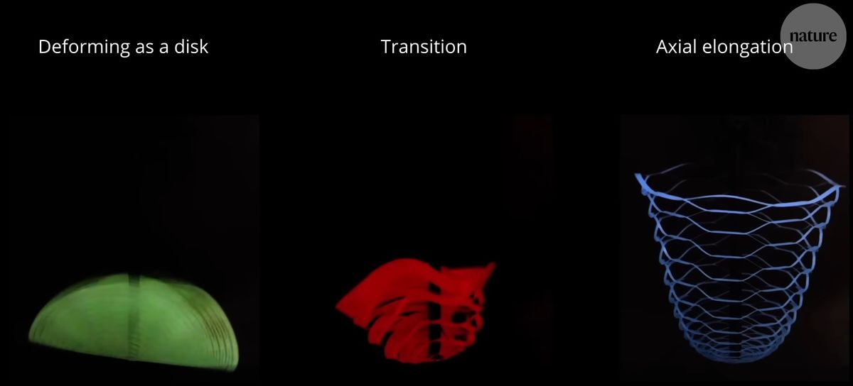 Algunos de los modelos de paracaídas investigados. Algunos de los modelos de paracaídas investigados.