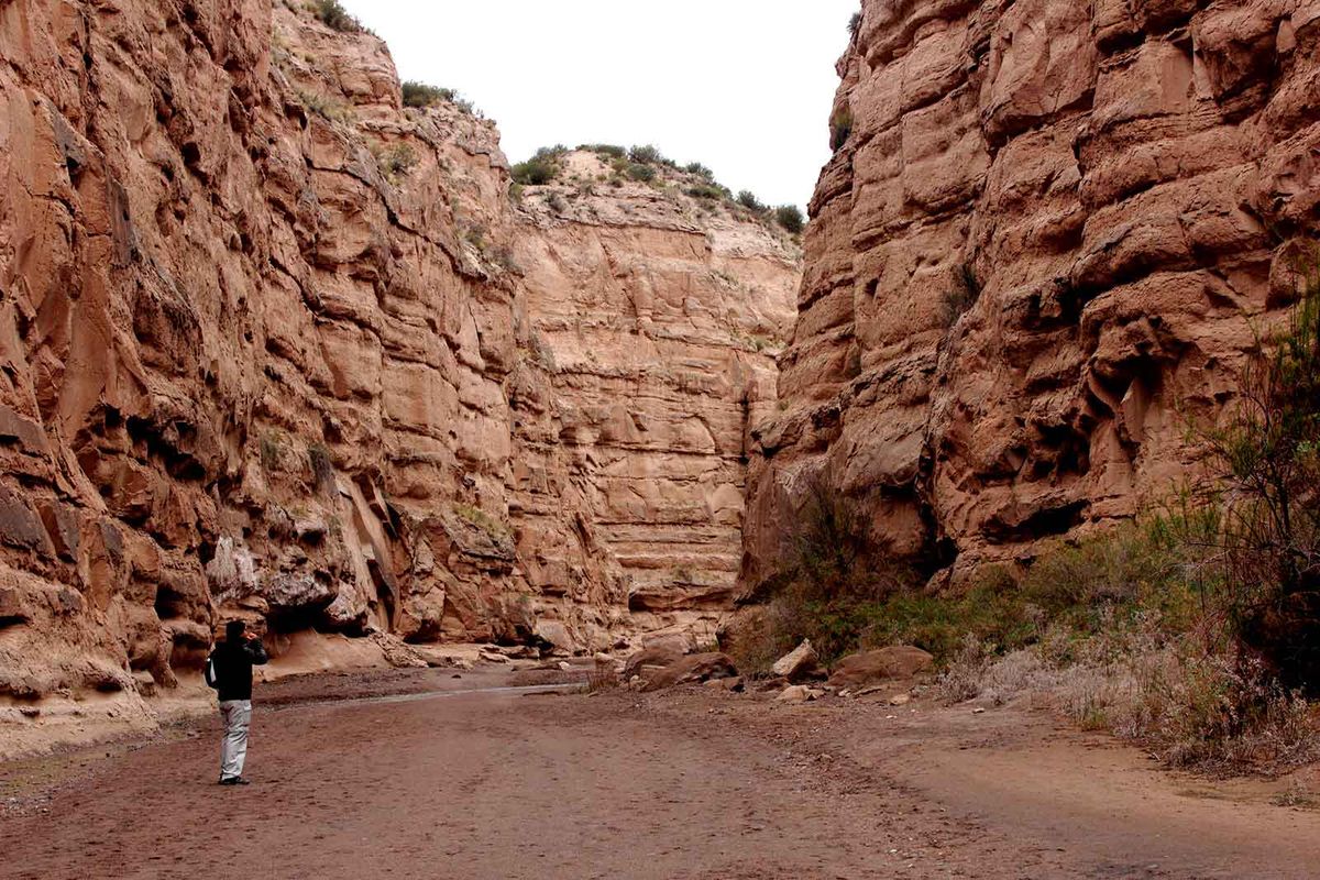 El paseo por Huayquerías, uno de los principales atractivos de San Carlos