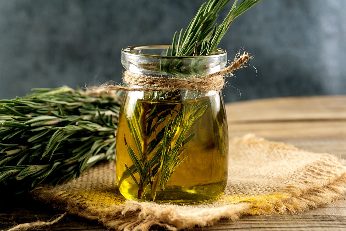 El ingrediente de cocina con el que puedes oscurecer y tonificar tus cejas: cómo usarlo El ingrediente de cocina con el que puedes oscurecer y tonificar tus cejas: cómo usarlo