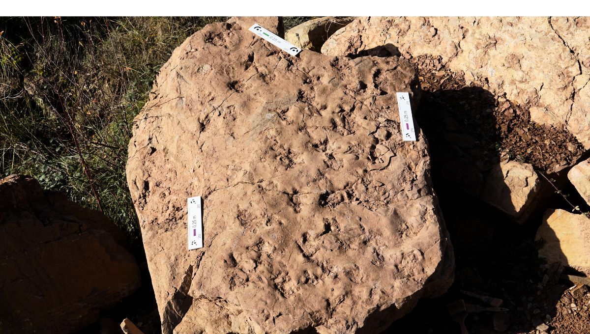 En concreto, este derrumbe se produjo en una carretera de Huesca