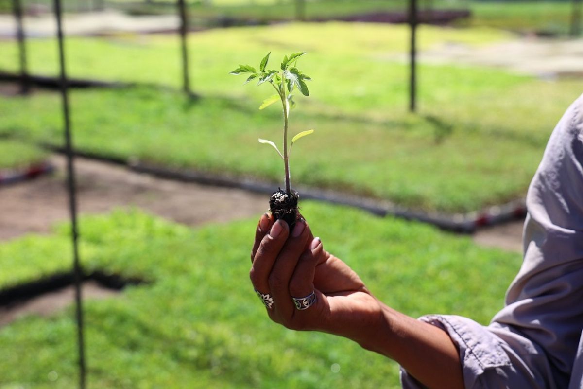 Estas actividades tienen como objetivo fomentar el aprendizaje y la participación en diversas áreas de interés. Estas actividades tienen como objetivo fomentar el aprendizaje y la participación en diversas áreas de interés.