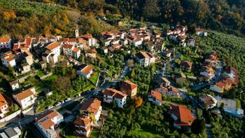 Casa y comida gratis para quienes quieran cosechar aceitunas en un pueblo rural de Italia