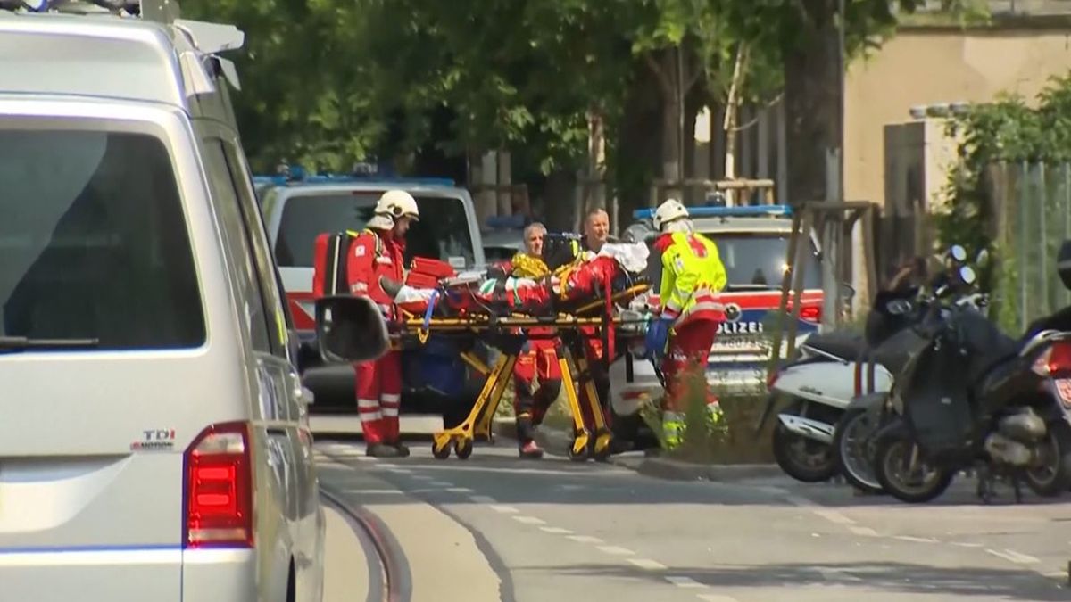 El joven atacó balazos dos aulas de una escuela de Austria matando a nueve alumnos y un adulto. Luego se suicidó El joven atacó balazos dos aulas de una escuela de Austria matando a nueve alumnos y un adulto. Luego se suicidó