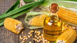 El aceite de maíz ayuda a prevenir enfermedades circulatorias y vasculares