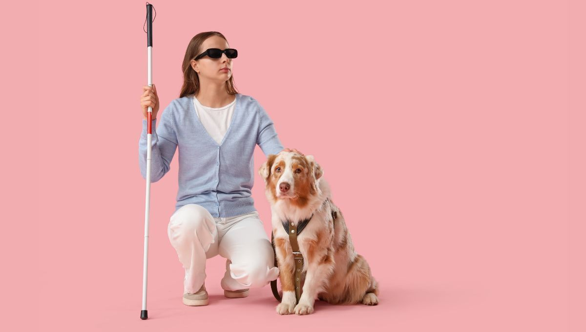 Certificado Único de Discapacidad: cómo solicitar los perros guías o de asistencia