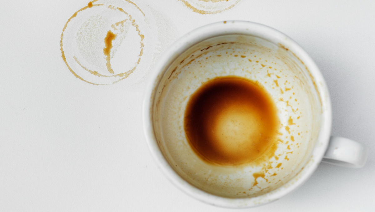 Cómo quitar las manchas de café del fondo de la taza usando sal