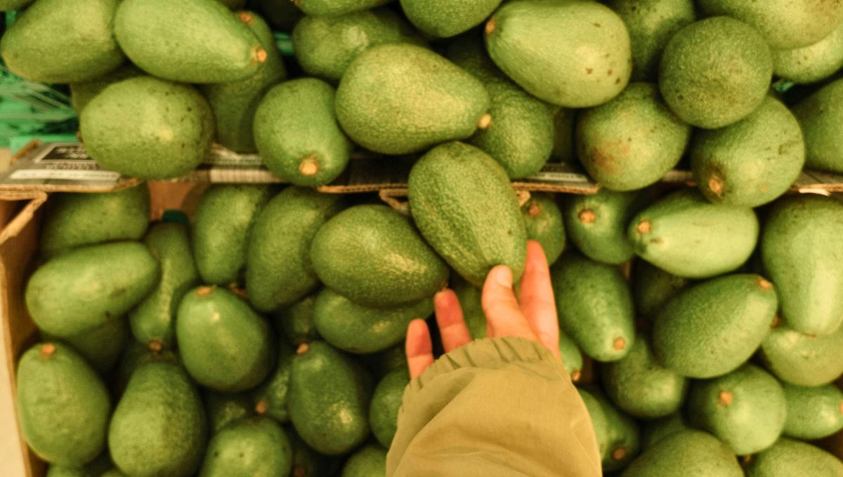 Cómo elegir una palta buena, rica y de calidad: esto debes mirar antes de comprarla